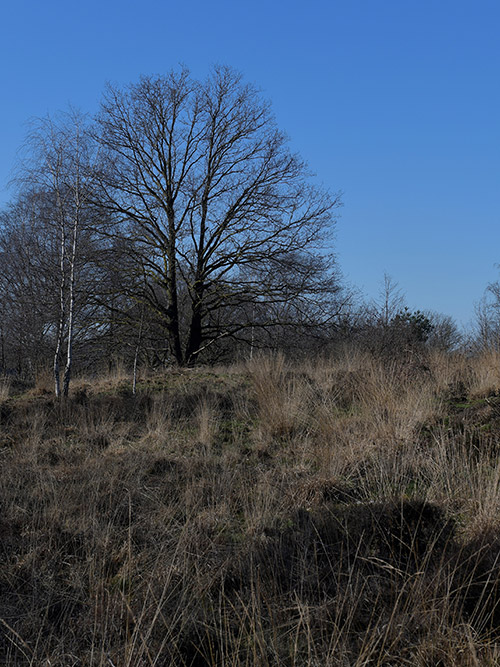 De natuur